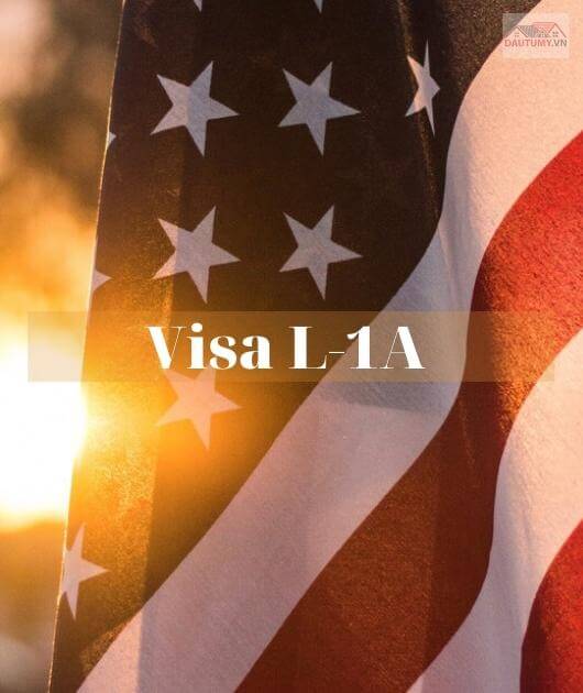 Visa L-1A